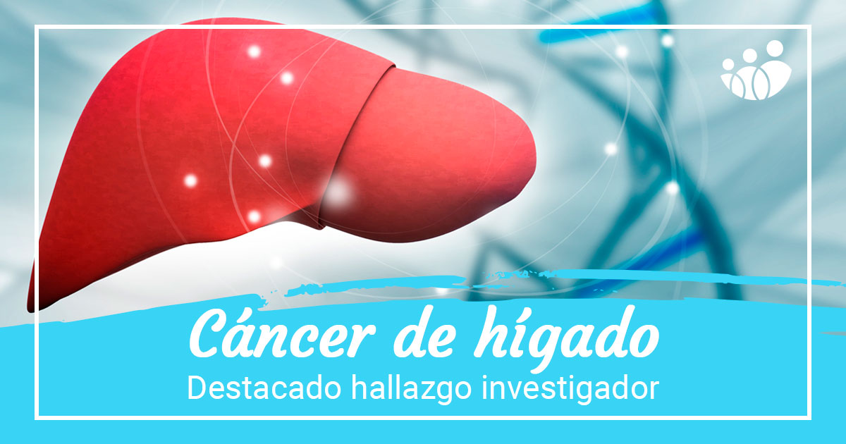 Descubren Por Qué El Cáncer De Hígado Es Tan Agresivo Acunsa 6464